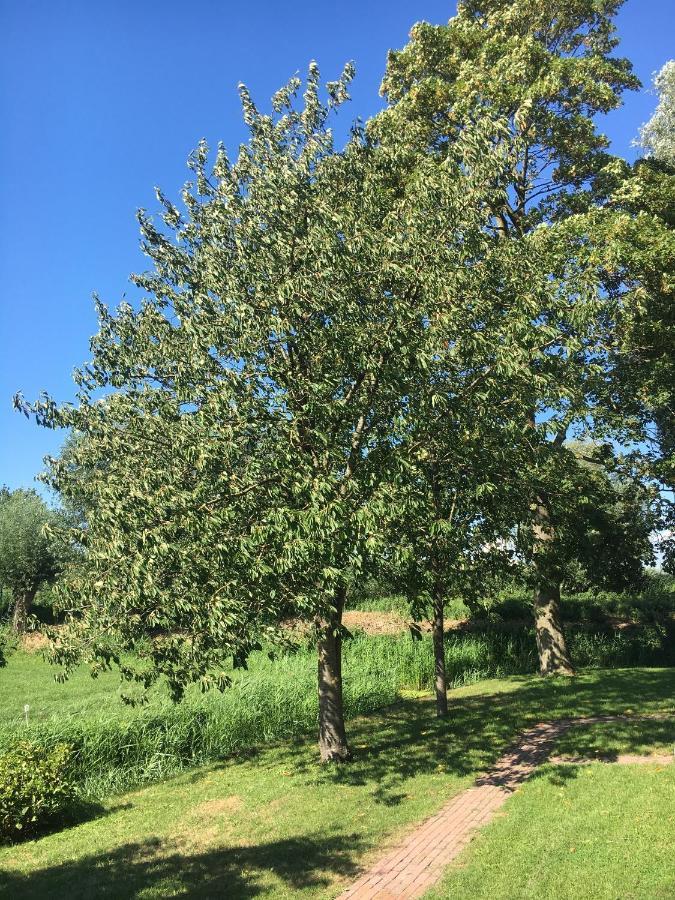 Landelijk Appartement In Een Mooi Recreatiegebied Abcoude Dış mekan fotoğraf